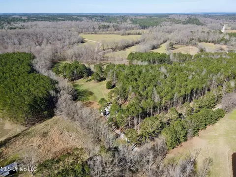217 281, Banner, MS 38913 photo 12