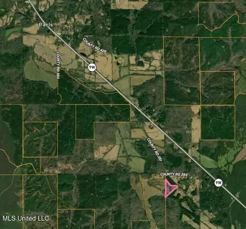 217 281, Banner, MS 38913 photo 5