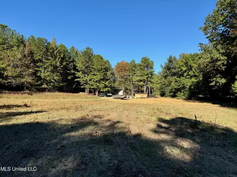 217 281, Banner, MS 38913 photo 9