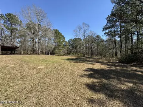 Exterior - 22228 Riverline Rd, Saucier, MS 39574 photo 4 of 6