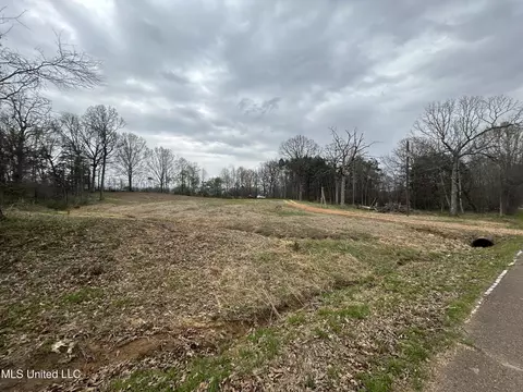 5618 Countyline Rd, Hernando, MS 38632 photo 3