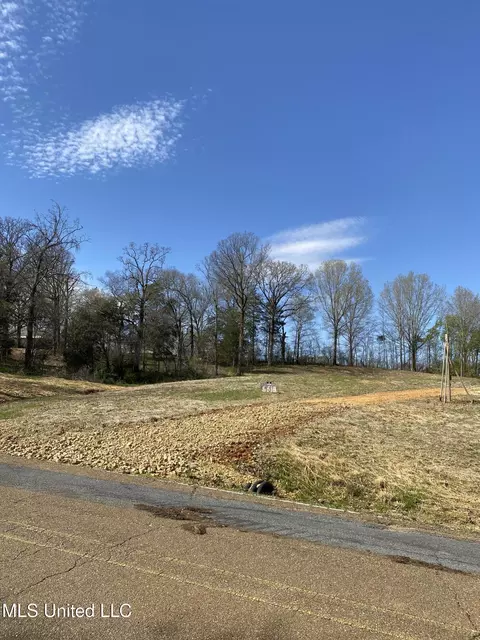5618 Countyline Rd, Hernando, MS 38632 photo 2