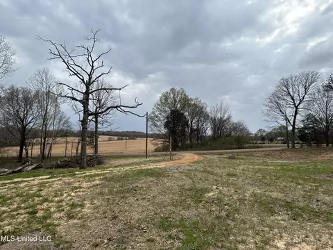 5618 Countyline Rd, Hernando, MS 38632 photo 4