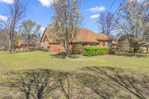 9082 Fox Cv, Olive Branch, MS 38654 photo 6