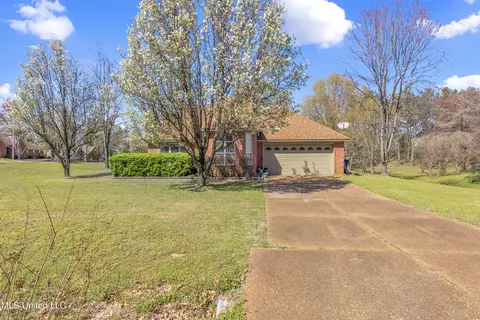 9082 Fox Cv, Olive Branch, MS 38654 photo 10