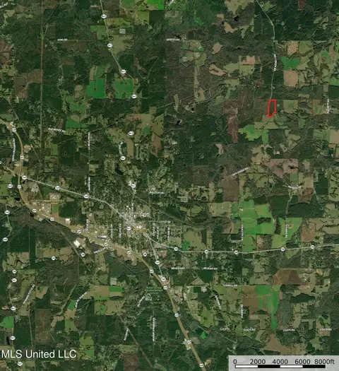 Dry Creek Road, Magee, MS 39111 photo 2