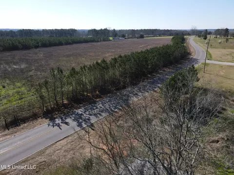 Dry Creek Road, Magee, MS 39111 photo 14