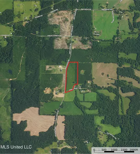 Dry Creek Road, Magee, MS 39111 photo 3