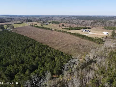 Dry Creek Road, Magee, MS 39111 photo 9