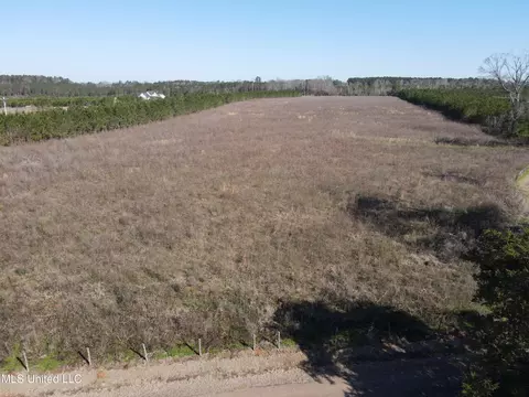 Dry Creek Road, Magee, MS 39111 photo 12