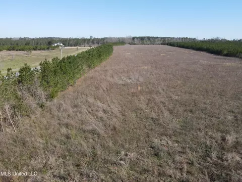 Dry Creek Road, Magee, MS 39111 photo 11