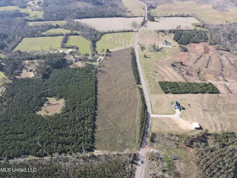 Dry Creek Road, Magee, MS 39111 photo 5