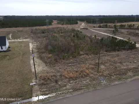 Stump Ridge Road, Brandon, MS 39047 photo 7