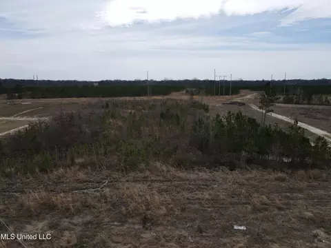 Stump Ridge Road, Brandon, MS 39047 photo 5