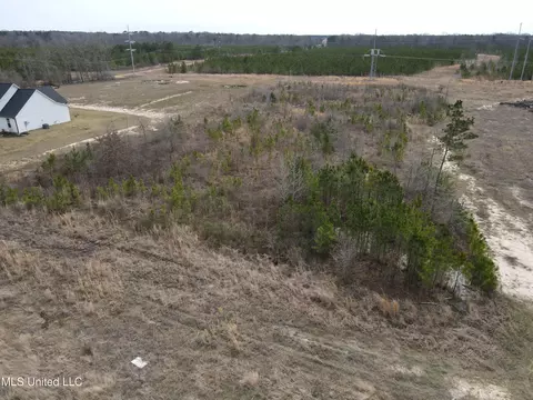 Stump Ridge Road, Brandon, MS 39047 photo 19