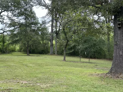 Exterior - 1871 Turtle Rd, Byram, MS 39272 photo 5 of 5