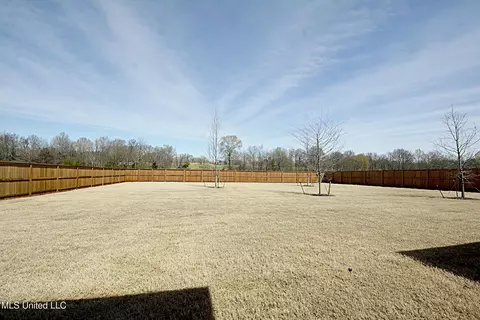 2194 Livingston Way, Hernando, MS 38632 photo 45