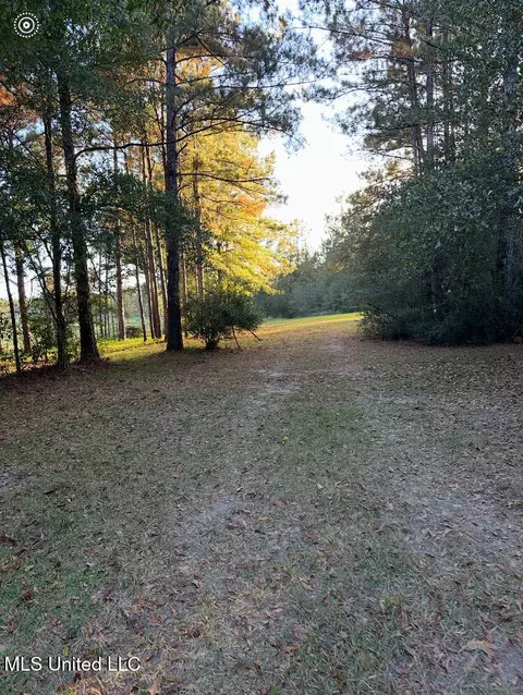 0 St Angelo Ln, Poplarville, MS 39470