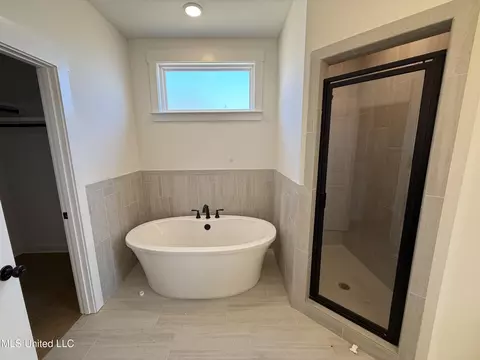 Bath - 682 Bolivar Dr, Nesbit, MS 38651 photo 3 of 4