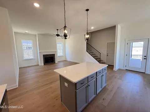 Other - 682 Bolivar Dr, Nesbit, MS 38651 photo 2 of 4