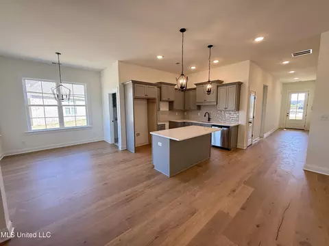 Other - 682 Bolivar Dr, Nesbit, MS 38651 photo 1 of 4