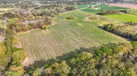 37 9 Acres Ceres Farm Rd, Lucedale, MS 39452 photo 8