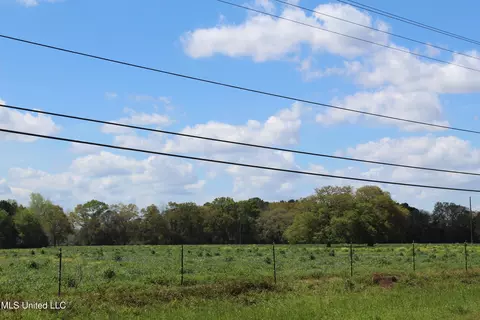 37 9 Acres Ceres Farm Rd, Lucedale, MS 39452 photo 10