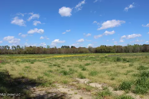 37 9 Acres Ceres Farm Rd, Lucedale, MS 39452 photo 12