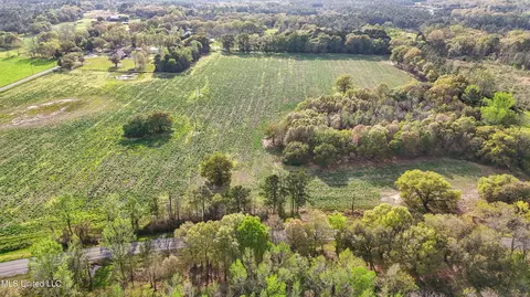 37 9 Acres Ceres Farm Rd, Lucedale, MS 39452 photo 4
