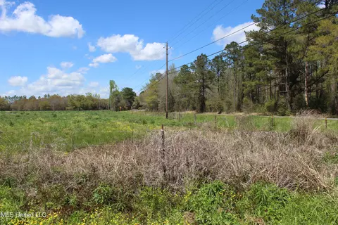 37 9 Acres Ceres Farm Rd, Lucedale, MS 39452 photo 20