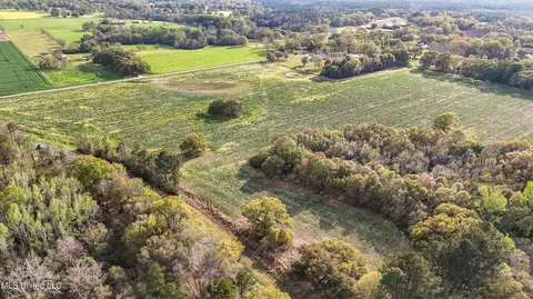 37 9 Acres Ceres Farm Rd, Lucedale, MS 39452 photo 5
