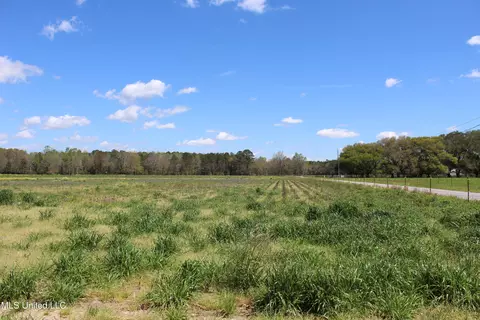 37 9 Acres Ceres Farm Rd, Lucedale, MS 39452 photo 2