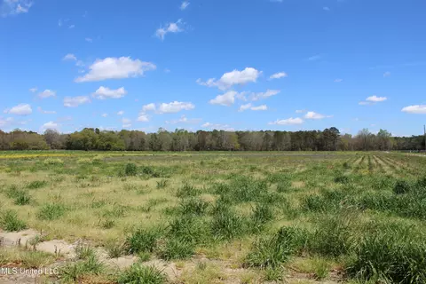 37 9 Acres Ceres Farm Rd, Lucedale, MS 39452 photo 18