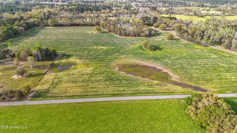 37 9 Acres Ceres Farm Rd, Lucedale, MS 39452 photo 13