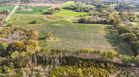 37 9 Acres Ceres Farm Rd, Lucedale, MS 39452 photo 7