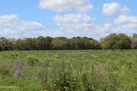 37 9 Acres Ceres Farm Rd, Lucedale, MS 39452