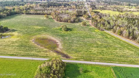 37 9 Acres Ceres Farm Rd, Lucedale, MS 39452 photo 9