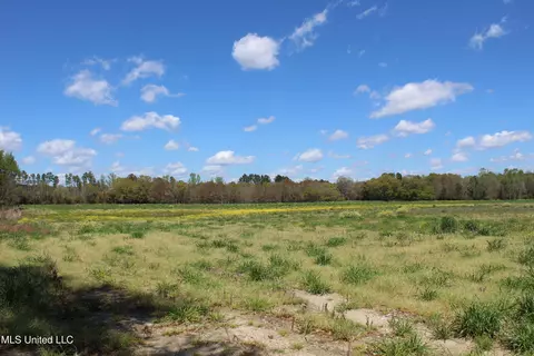37 9 Acres Ceres Farm Rd, Lucedale, MS 39452 photo 3