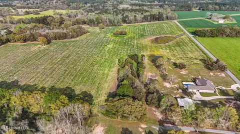 37 9 Acres Ceres Farm Rd, Lucedale, MS 39452 photo 14