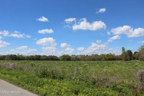 37 9 Acres Ceres Farm Rd, Lucedale, MS 39452 photo 15