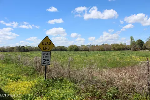 37 9 Acres Ceres Farm Rd, Lucedale, MS 39452 photo 19