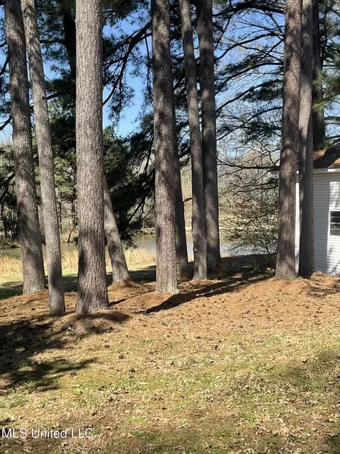 Exterior - 6776 Whippoorwill Rd, Olive Branch, MS 38654 photo 3 of 3