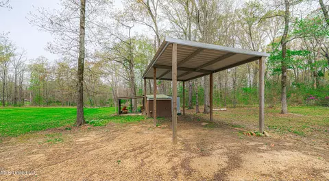 Exterior - 1244 Haley Rd, Terry, MS 39170 photo 18 of 25