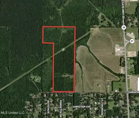Townsend, Forest, MS 39074 photo 2