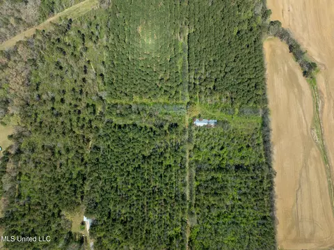 Townsend, Forest, MS 39074 photo 12
