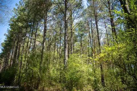 Townsend, Forest, MS 39074 photo 28