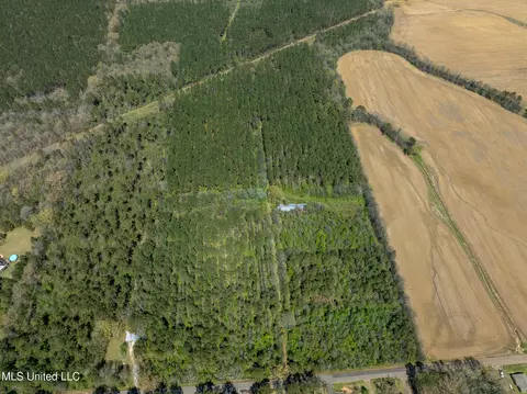 Townsend, Forest, MS 39074 photo 9