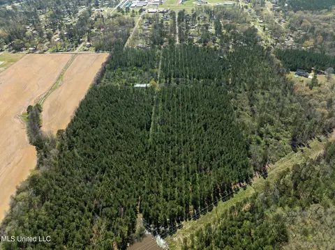 Townsend, Forest, MS 39074 photo 14