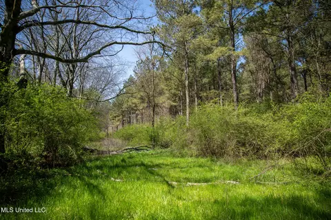 Townsend, Forest, MS 39074 photo 27