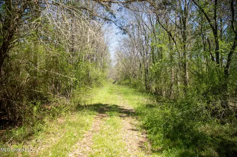Townsend, Forest, MS 39074 photo 18